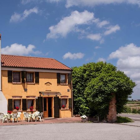 Agriturismo Le 4 Rose Vescovana Ngoại thất bức ảnh