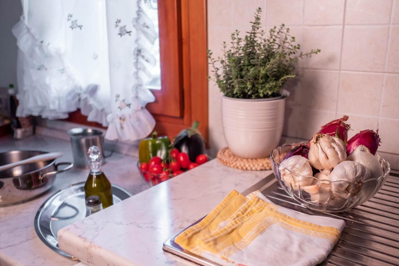 Agriturismo Le 4 Rose Vescovana Ngoại thất bức ảnh